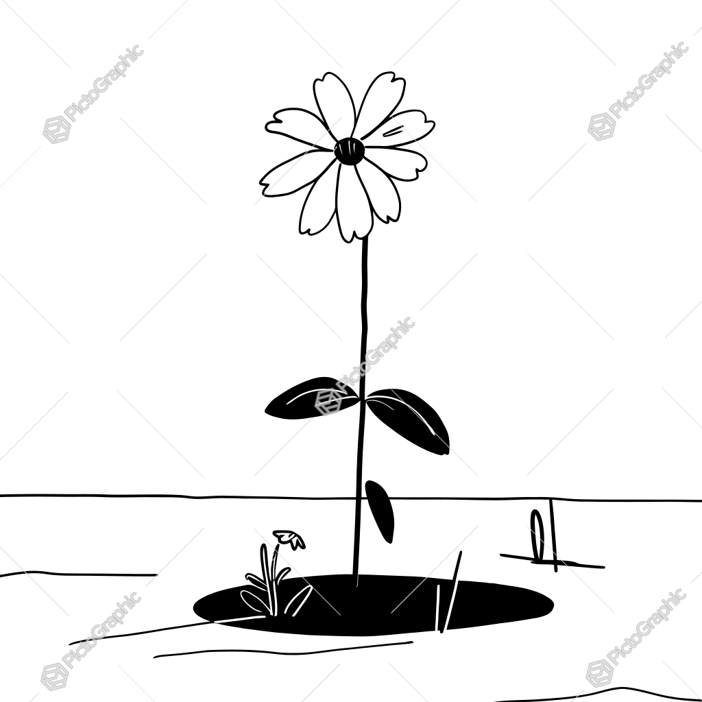 The image shows a black and white drawing of a flower in the middle of a field, with a white background. The flower is in the center of the image, with its petals and leaves clearly visible. The image shows a black and white drawing of a flower in the middle of a field, with a white background. The flower is in the center of the image, with its petals and leaves clearly visible.