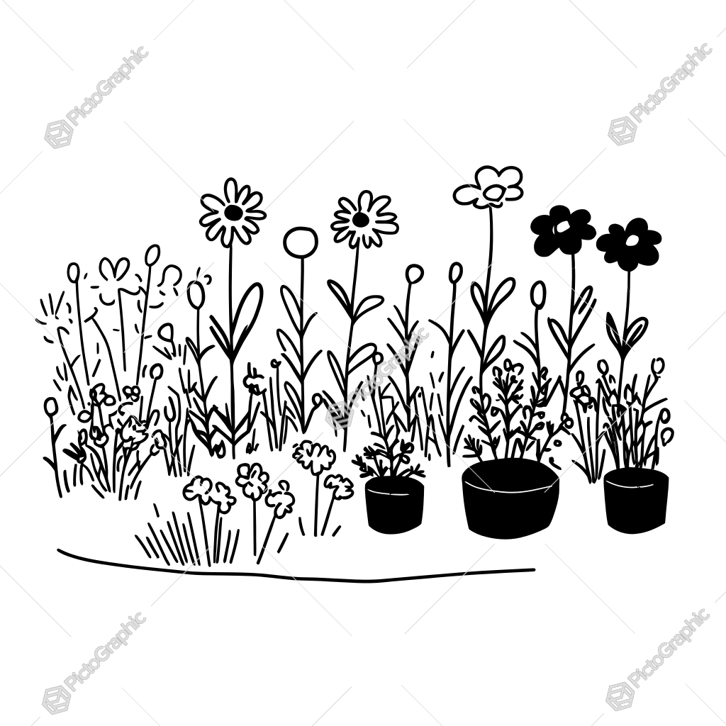 The image shows a black and white drawing of a garden with flower pots filled with colorful flowers. The background is a bright white, highlighting the vibrant colors of the flowers. The image shows a black and white drawing of a garden with flower pots filled with colorful flowers. The background is a bright white, highlighting the vibrant colors of the flowers.