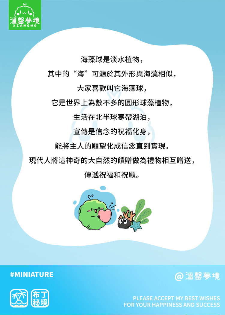 夢境海藻球是淡水植物,其中的“海”可源於其外形與海藻相似,大家喜歡叫它海藻球,它是世界上為數不多的圓形球藻植物,生活在北半球寒帶湖泊,宣傳是信念的祝福化身,能將主人的願望化成信念直到實現。現代人將這神奇的大自然的饋贈做為禮物相互贈送,傳遞祝福和祝願。#MINIATURE布丁秘境@溫馨夢境PLEASE ACCEPT MY BEST WISHESFOR YOUR HAPPINESS AND SUCCESS