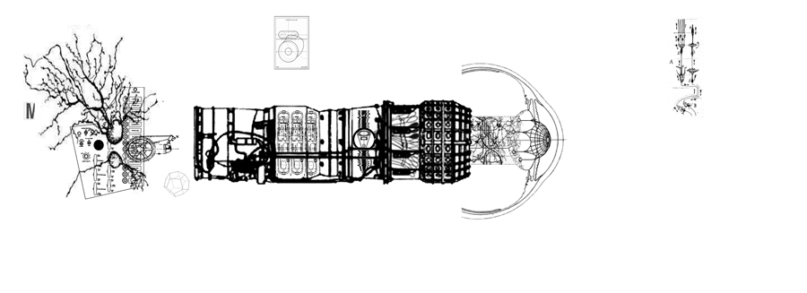 loron v1