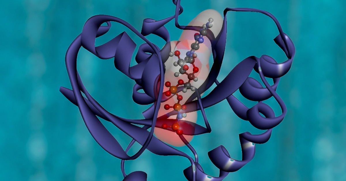 Predicting Proteome-Scale Protein Structure with Artificial Intelligence