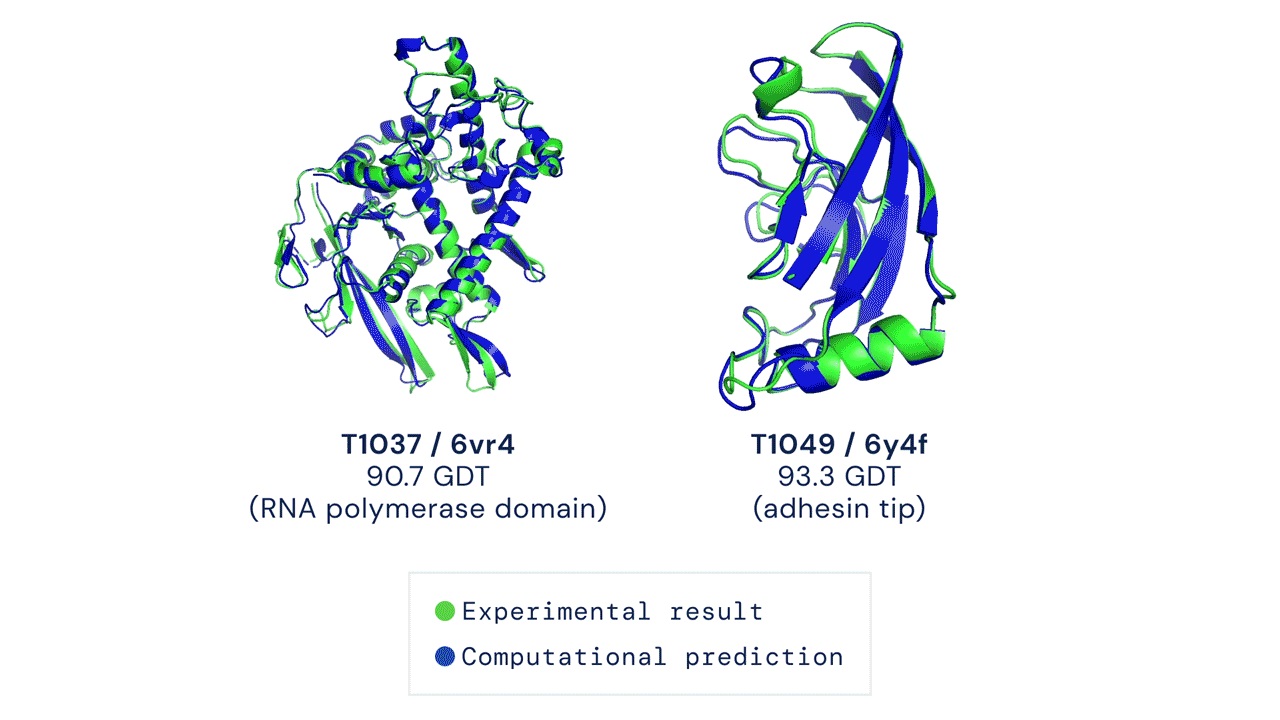 Predicting Proteome-Scale Protein Structure with Artificial Intelligence