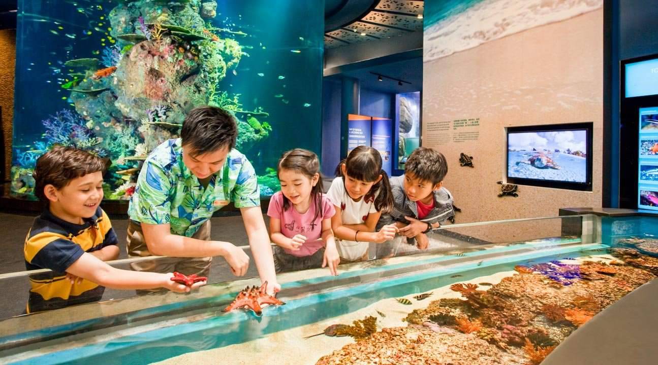 S.E.A. Aquarium Ticket - 2019 021cfe82 B512 4f09 99Da 8287a3fa0277