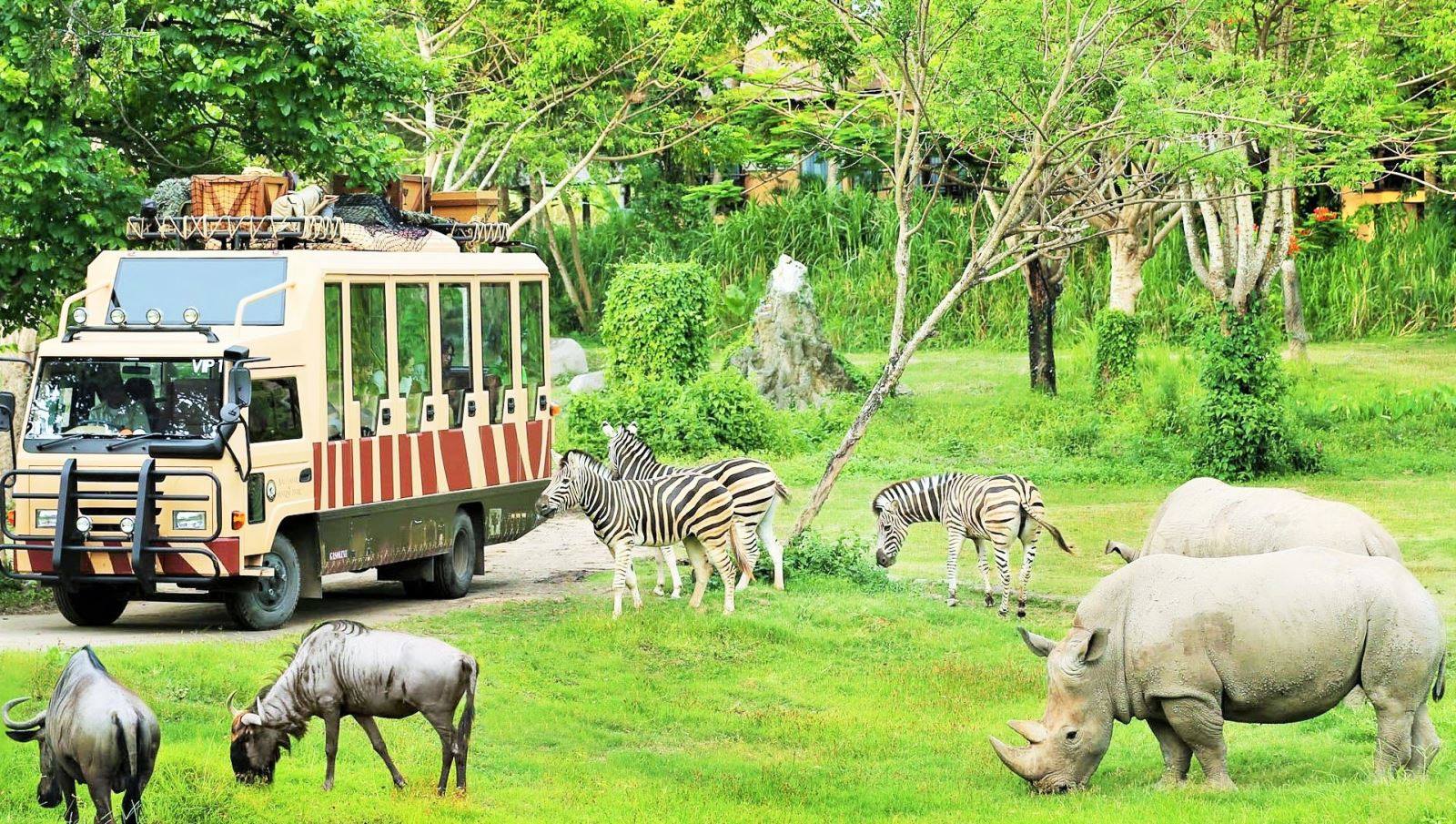 flc safari park quy nhon