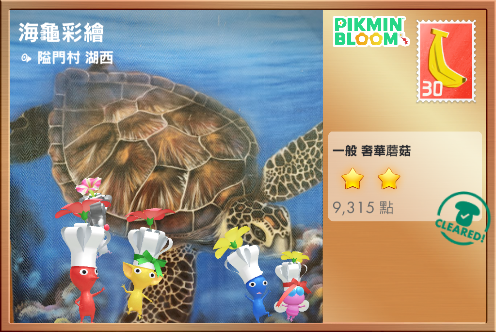 海龜彩繪