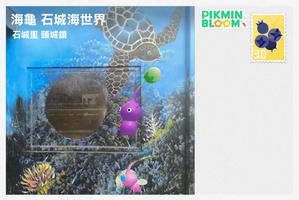 海龜 石城海世界