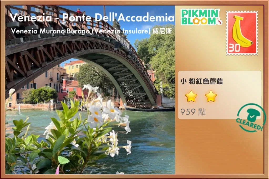 Venezia - Ponte Dell'Accademia