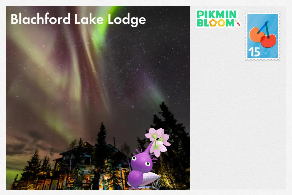 Blachford Lake Lodge