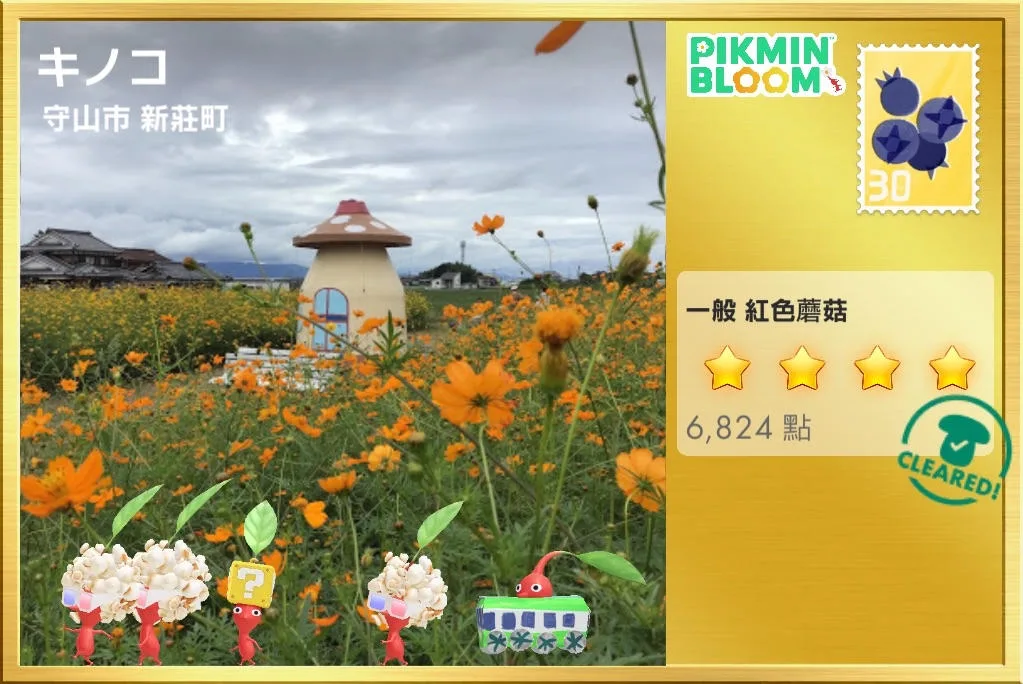 キノコ