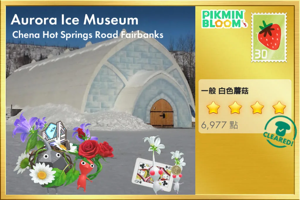 Aurora Ice Museum