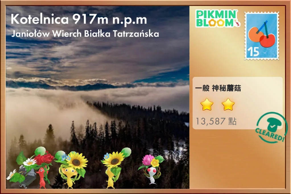 Kotelnica 917m n.p.m
