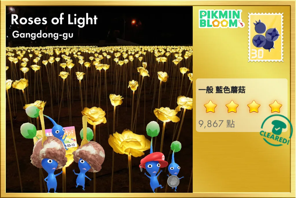 Roses of Light