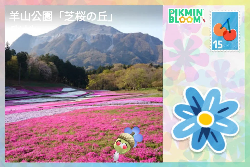 羊山公園「芝桜の丘」
