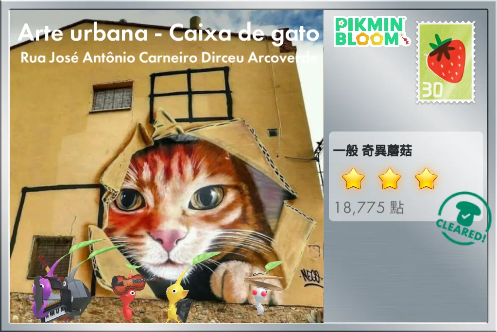 Arte urbana - Caixa de gato