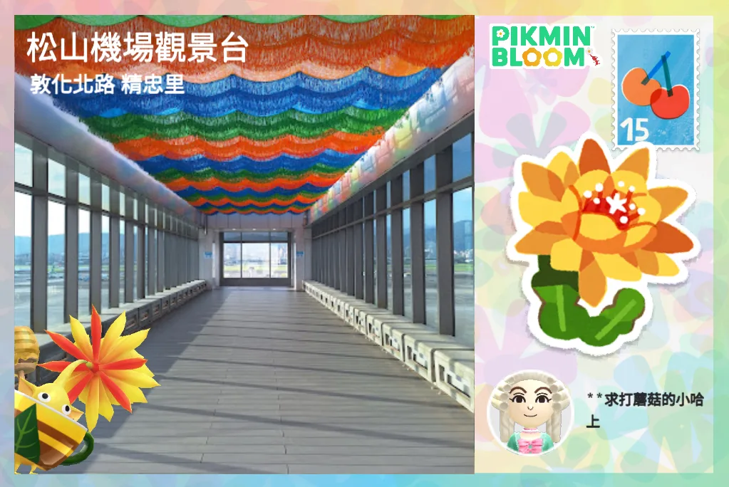 松山機場觀景台