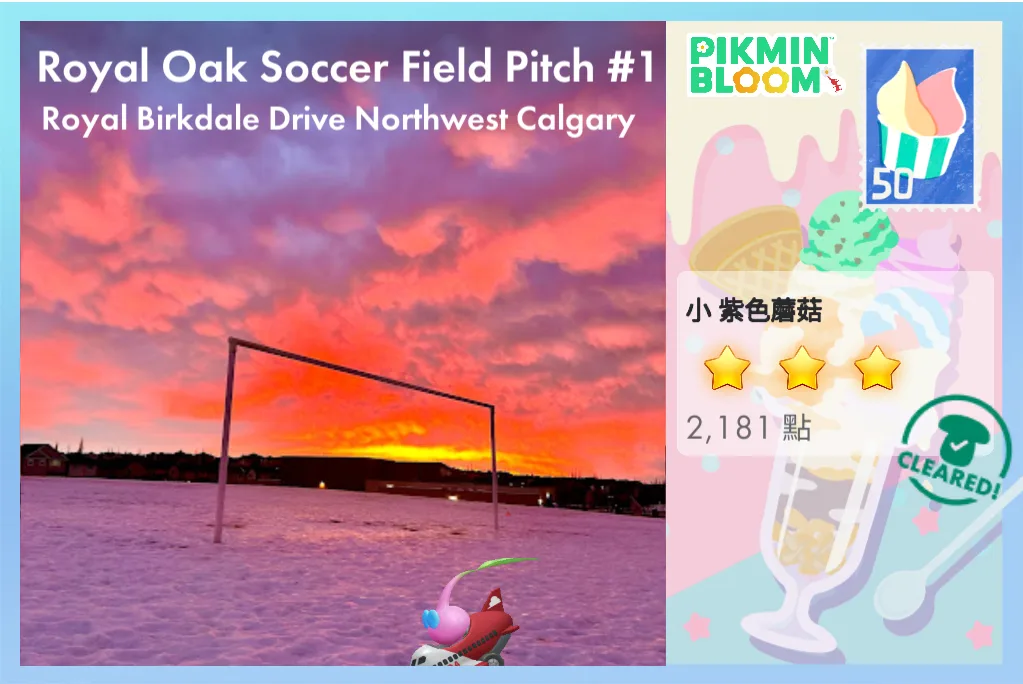 Royal Oak Soccer Field Pitch #1