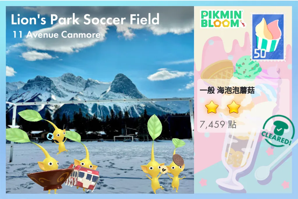 Lion's Park Soccer Field
