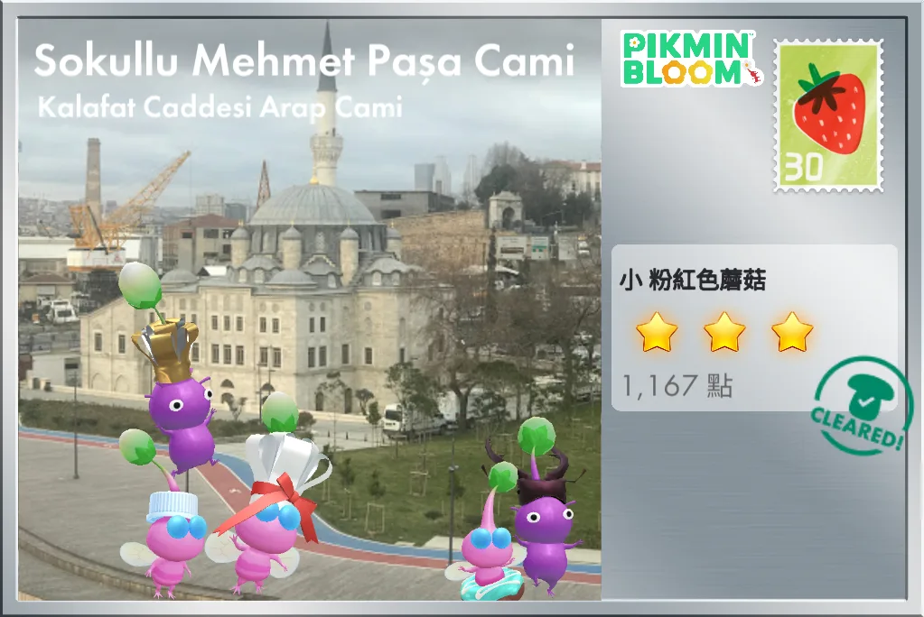 Sokullu Mehmet Paşa Cami - Kalafat Caddesi Arap Cami