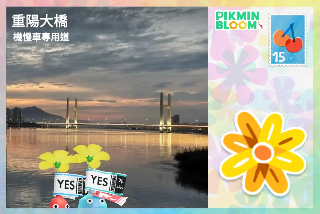 重陽大橋 - 機慢車專用道
