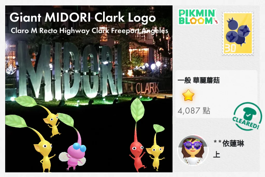Giant MIDORI Clark Logo