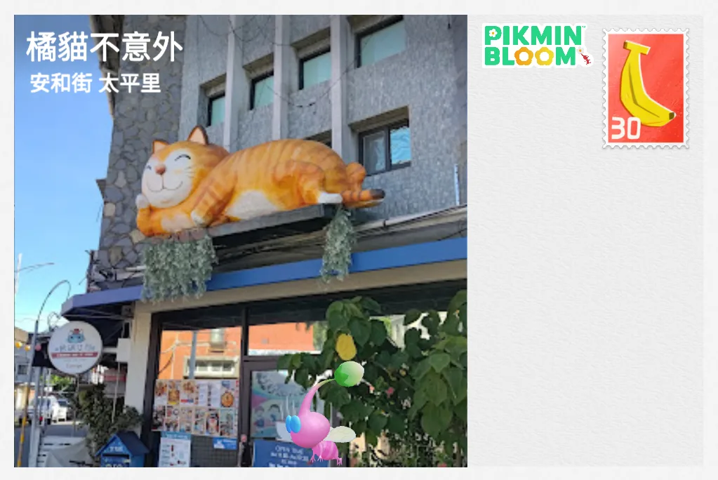 橘貓不意外