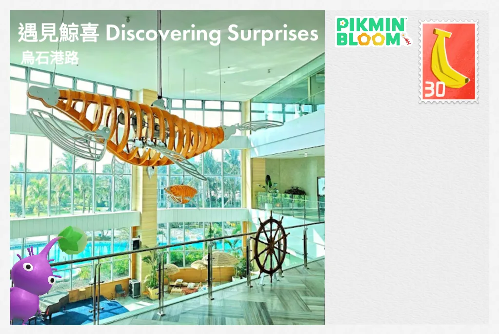 遇見鯨喜 Discovering Surprises