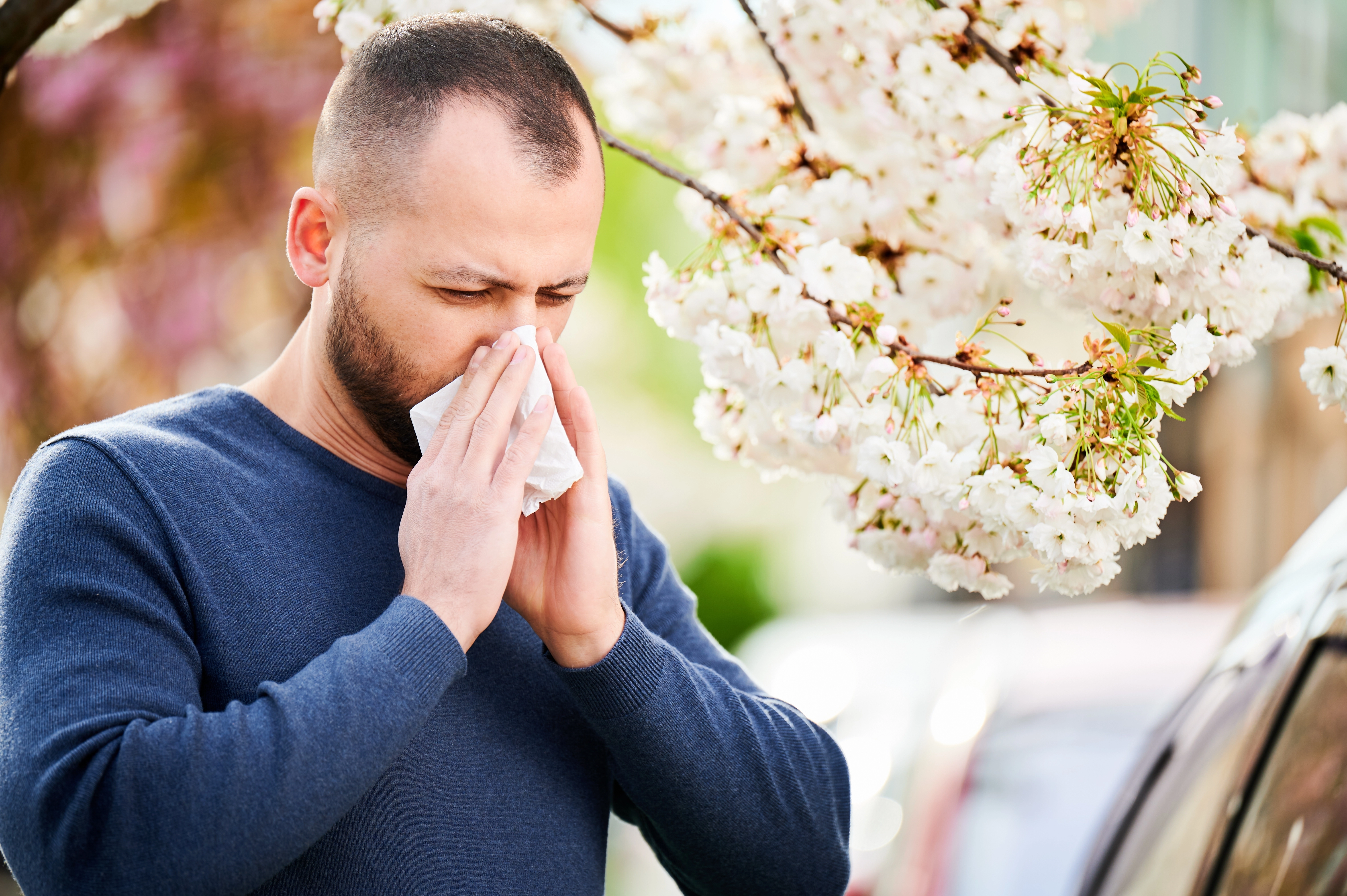 Man blowing his nose outdoors beside a tree in bloom during spring allergy season