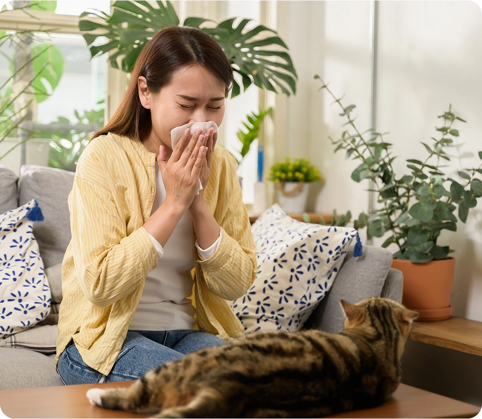 Woman sneezing into a tissue on her sofa while her cat rests nearby, a common indoor allergy trigger