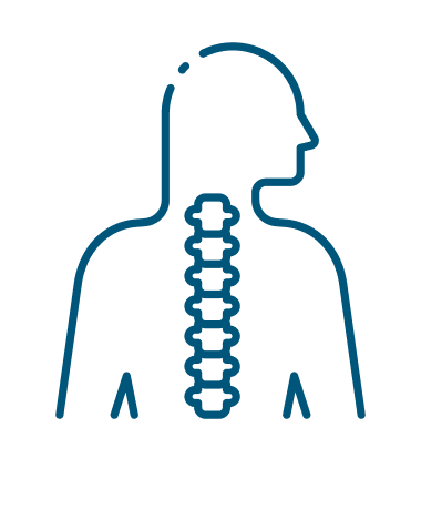 Line icon of human head and shoulders with detailed spine and vertebrae