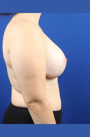 Untitled design (12)