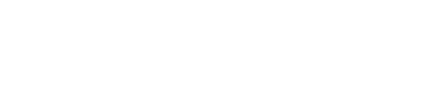 Evolysse logo