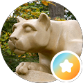 Lucy T. Google reviewer photo