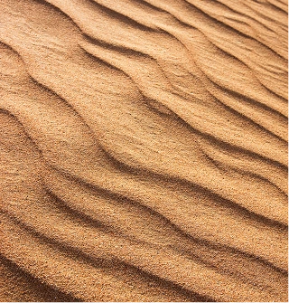 Follow Us On Social Banner