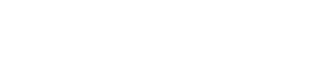 Castle Connolly logo