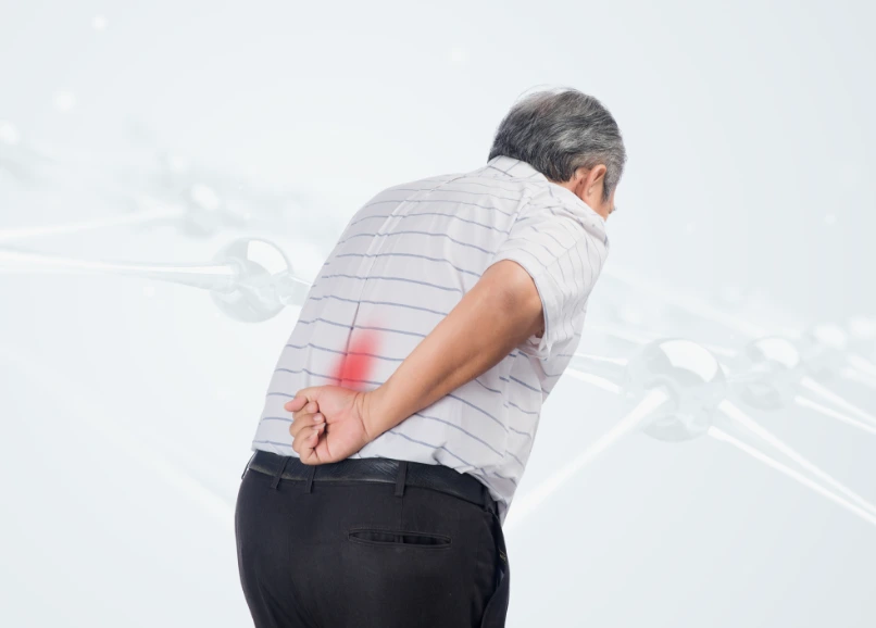 Disc Herniation image