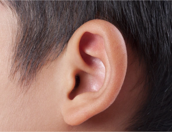 Recovery After Otoplasty Banner