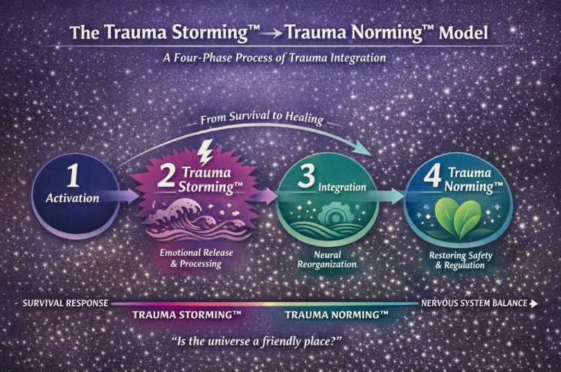 The Trauma Storming™ → Trauma Norming™ Model Banner