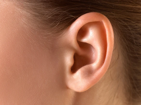 Face Surgery Services in Philadelphia, PA: Otoplasty (Ear Surgery)