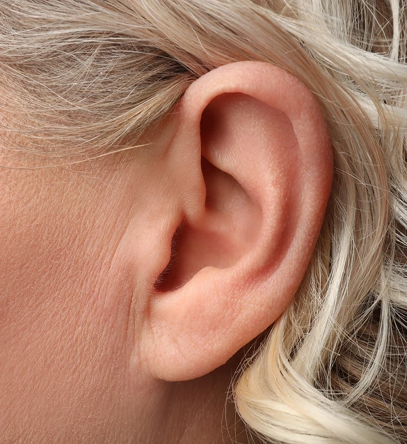 Am I a Good Candidate? Banner