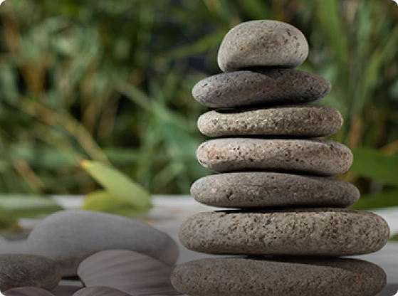 Mindfulness Session Banner