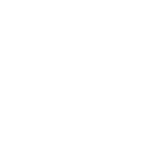 Nervexa Orthopedics logo