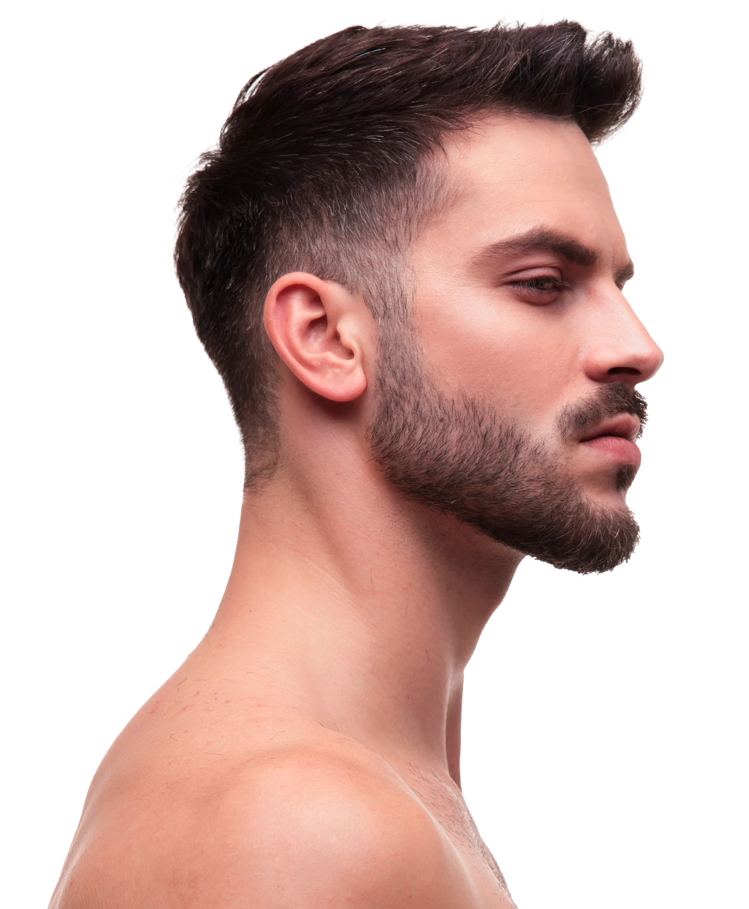 Types of Rhinoplasty Banner