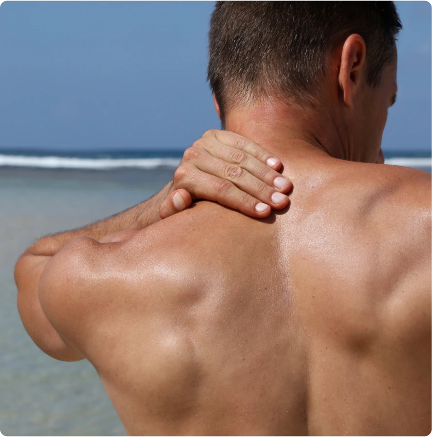 About Whiplash Banner