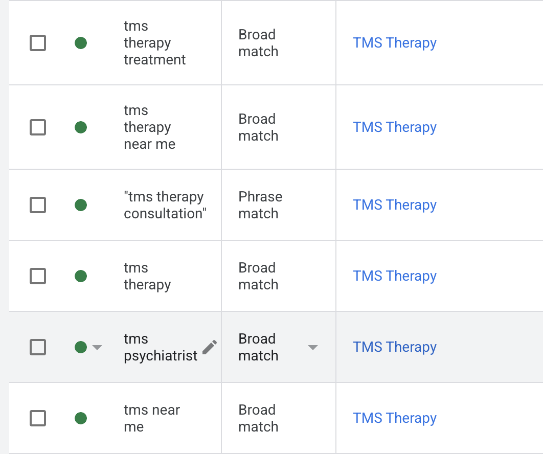TMS Google ad campaign setup