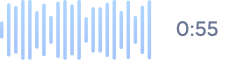 Audio waveform visualization with 0:55 timestamp