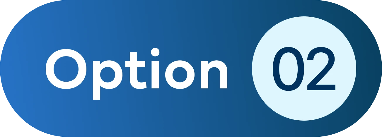 Option 02