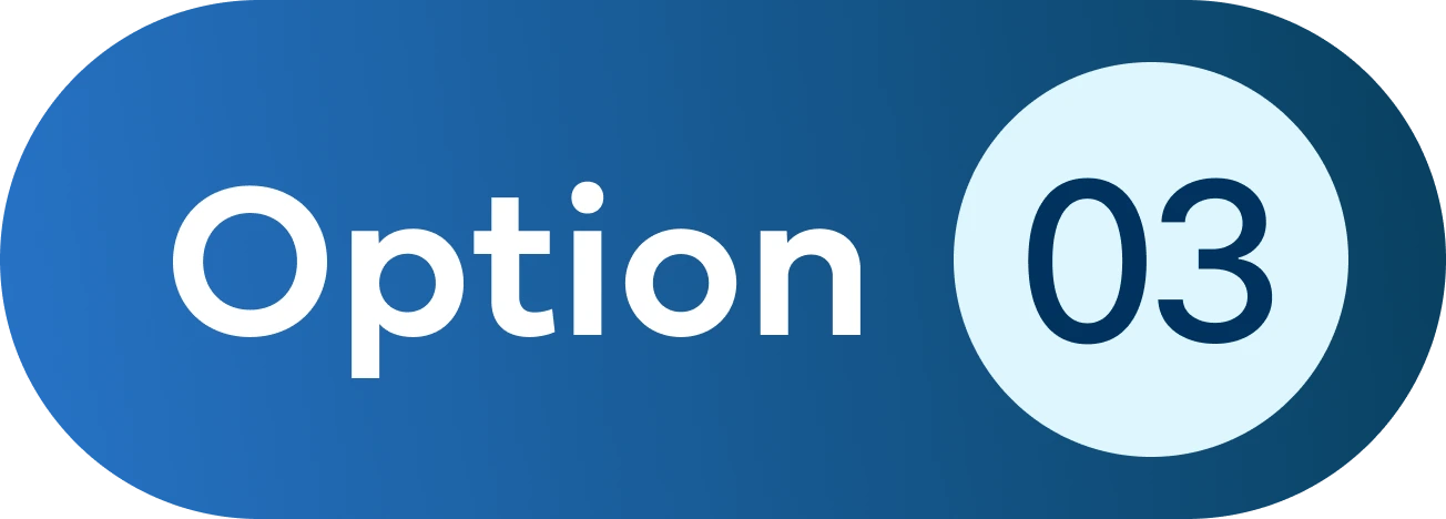 Option 03