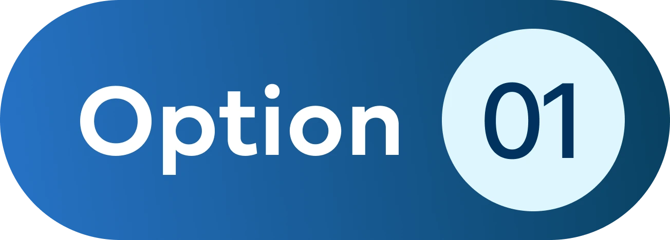 Option 01 badge with blue rounded background