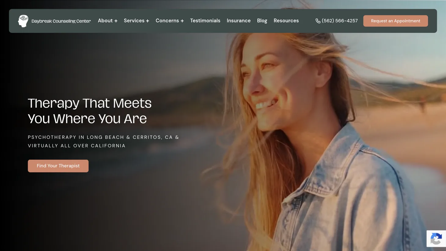 Daybreak Counseling Center website homepage designed by PilotPractice