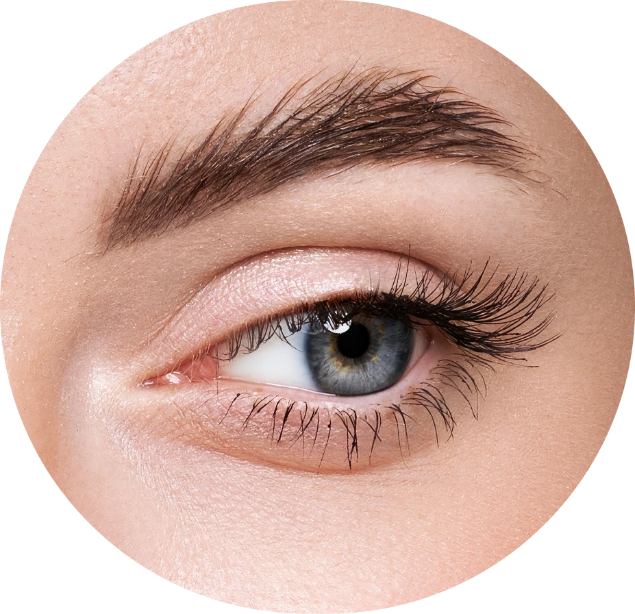 Eyelid Surgeries Banner